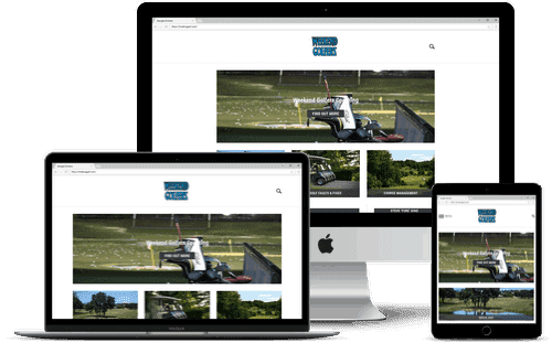 Picture of Fore King Golf Website